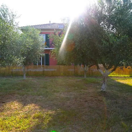 Spasmeni Vrisi 리지아